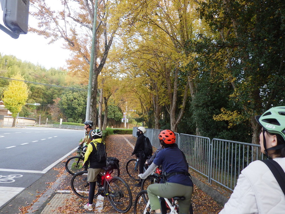 紅葉狩りサイクリング