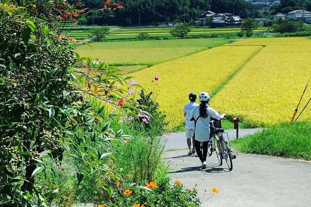 茅葺き職人と行く! 茅葺きサイクリングツアー.jpg