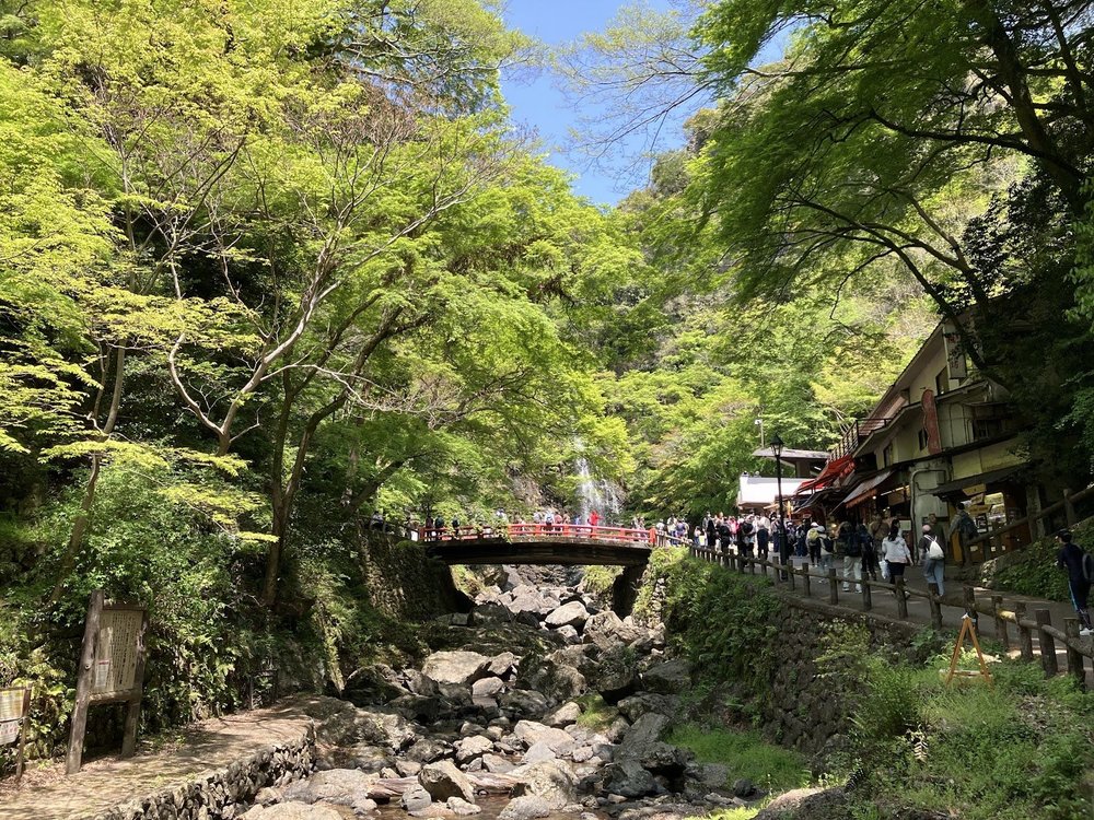 【ライドレポート】ダルマにご挨拶！北摂の名所「勝尾寺」ヒルクライムライド4.jpg