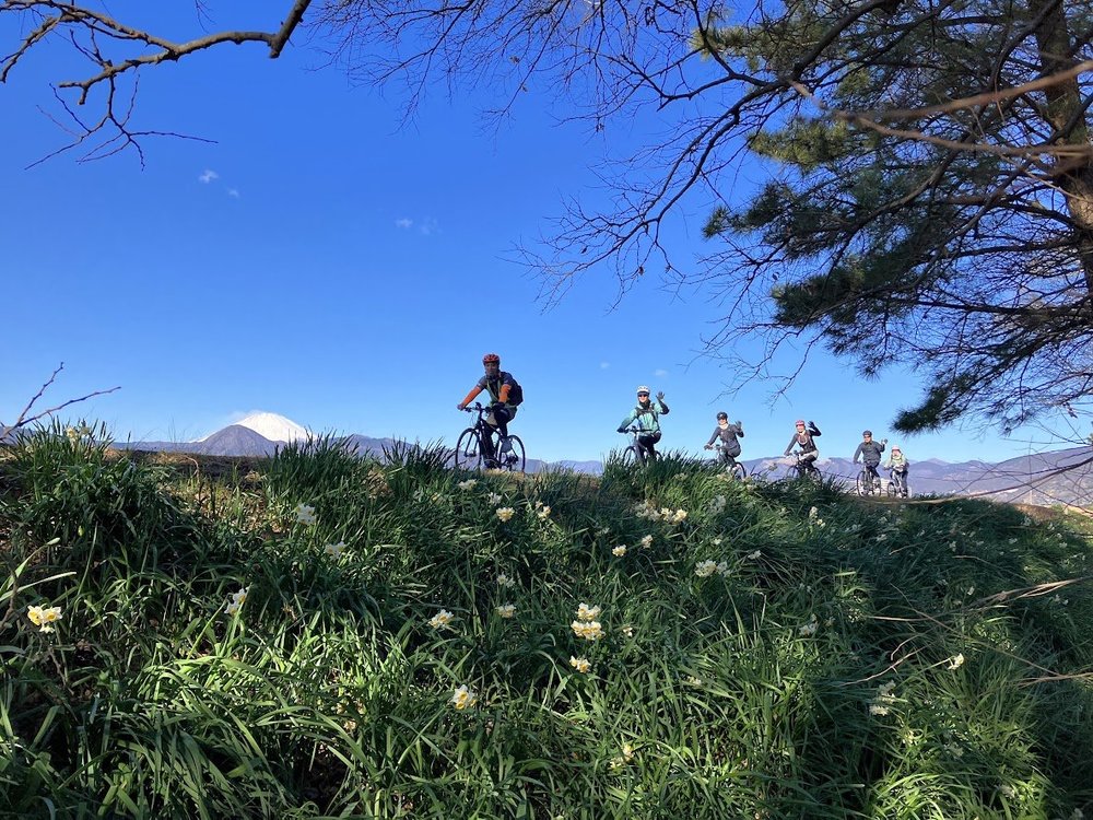 ２　小田原曽我梅林サイクリングツアーレポート.jpg