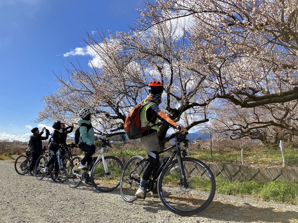 画像5.jpg