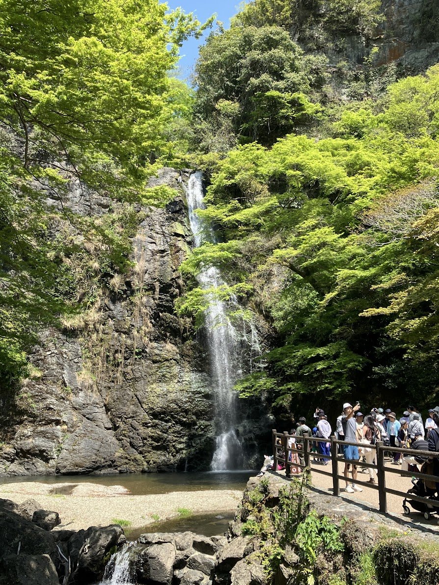 【ライドレポート】ダルマにご挨拶！北摂の名所「勝尾寺」ヒルクライムライド5.jpg