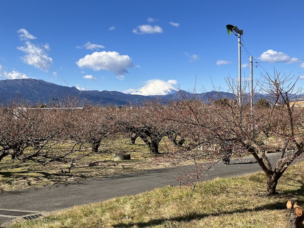 画像6.jpg