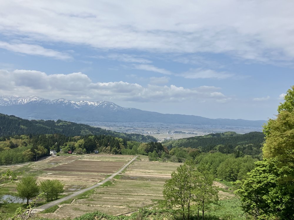 IMG_1249.jpeg