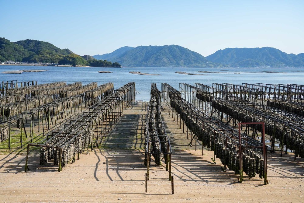広島散走-5.jpg