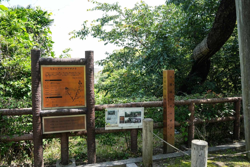 広島散走-22.jpg