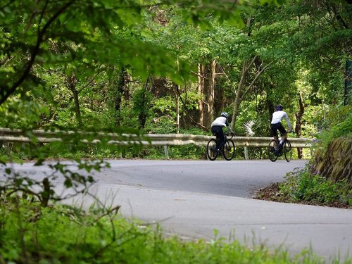 【相模原～愛川～藤野 里山サイクリング】緑と清流、峠越えの自然満喫コース。.jpg