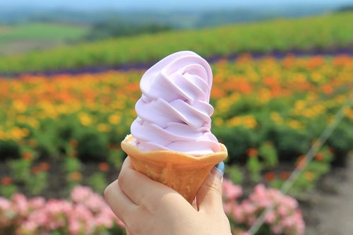 【美唄～富良野ポタリング】空知グルメとのんびりペースの癒やし旅。.jpg