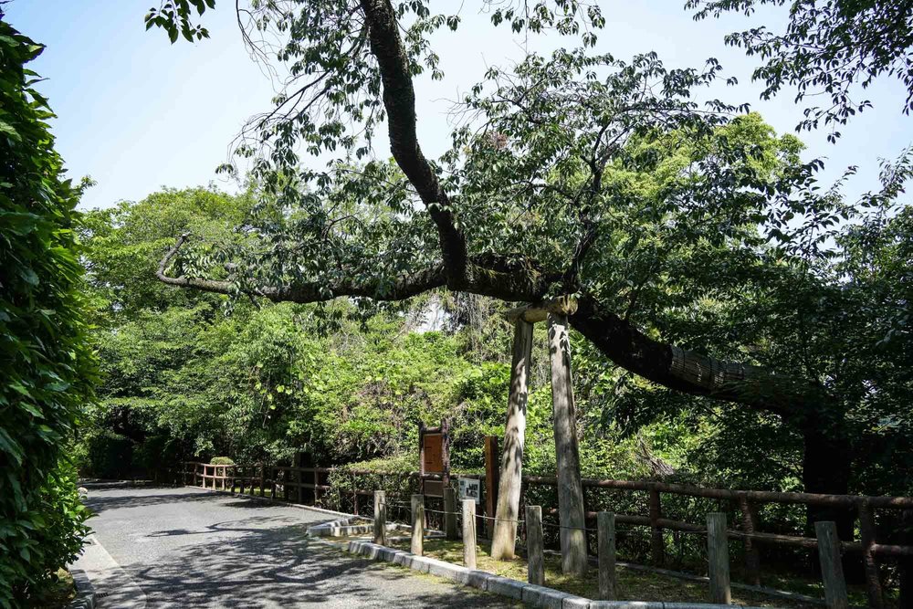 広島散走-20.jpg