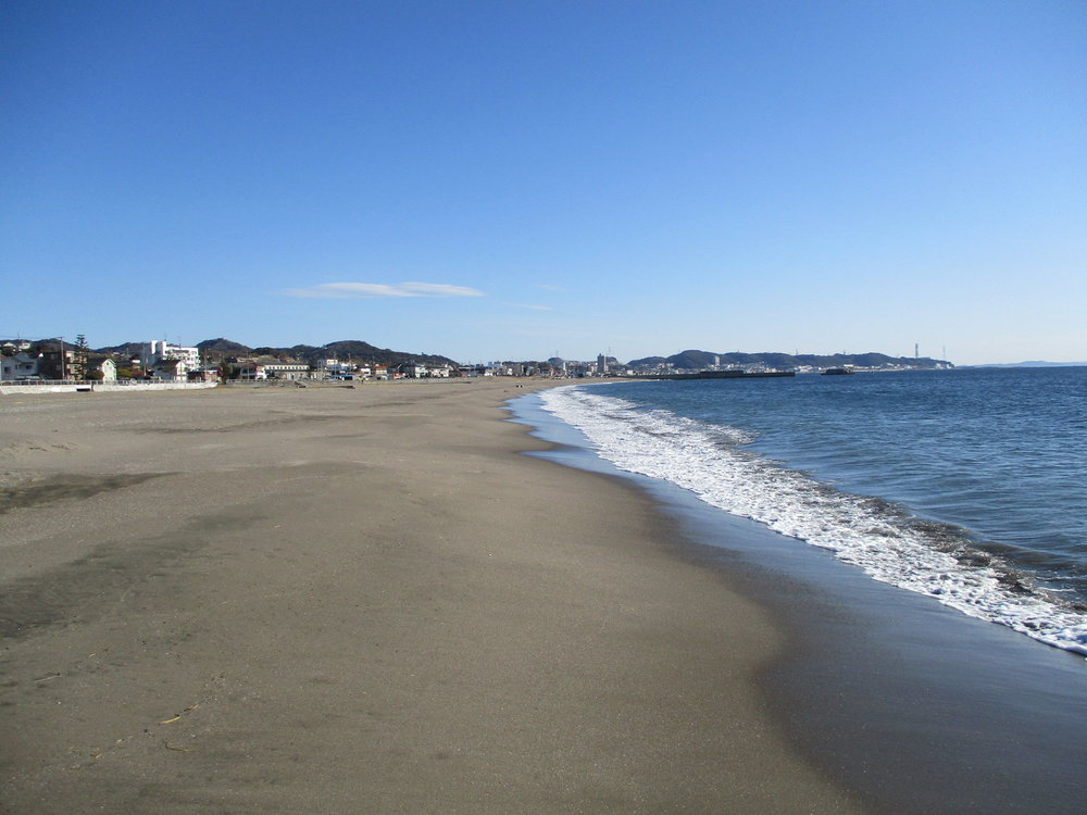 三浦海岸.JPG