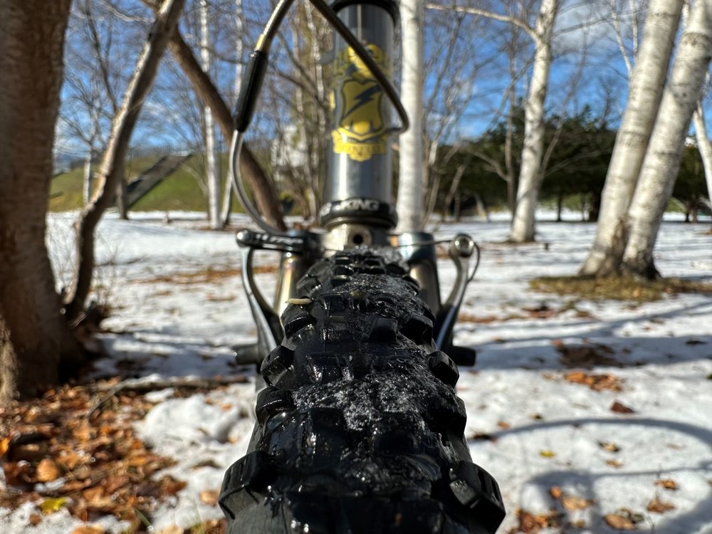 CINELLI MASH WORK6.jpg