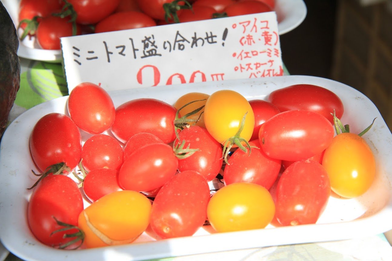 空知地方のグルメ食べつくす！美唄～富良野ポタリング