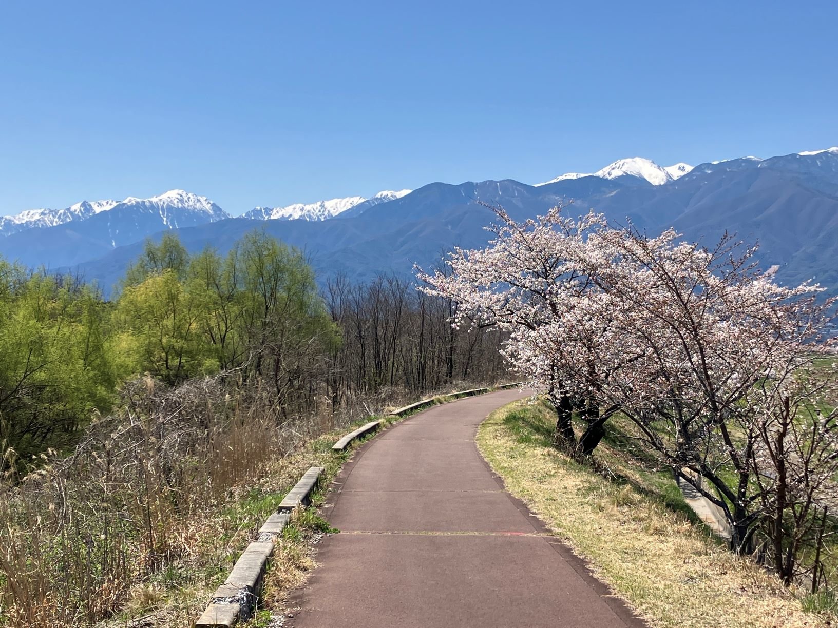 高遠城址公園