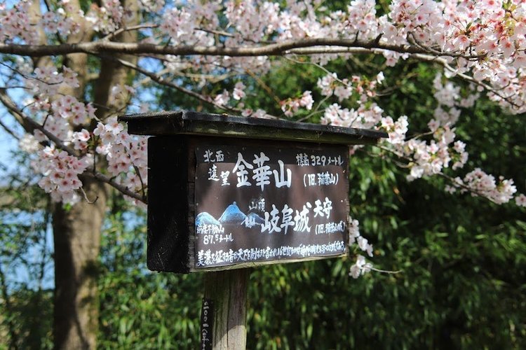 長良川サイクリング