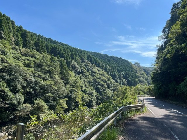 高さ日本第2位の吊り橋「綾の照葉大吊り橋」を目指せ～ユネスコエコパークの照葉樹林を添えて～