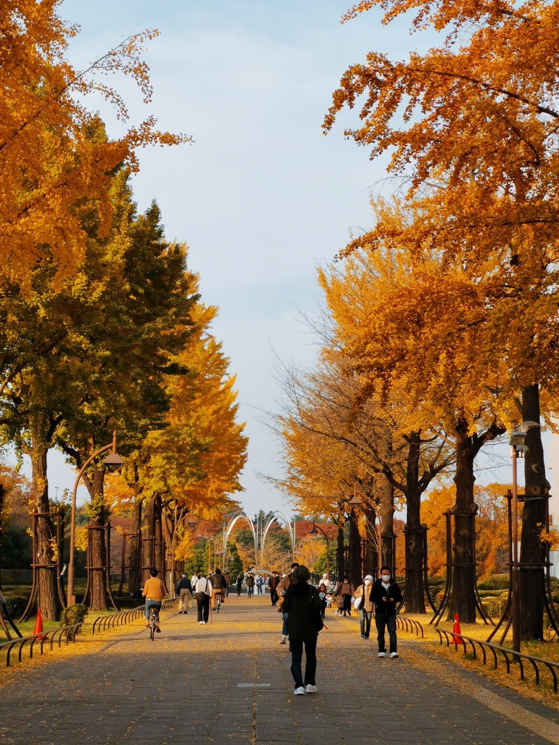 練馬の自然を楽しむ、光が丘公園 石神井公園 大泉中央公園 都立公園めぐり
