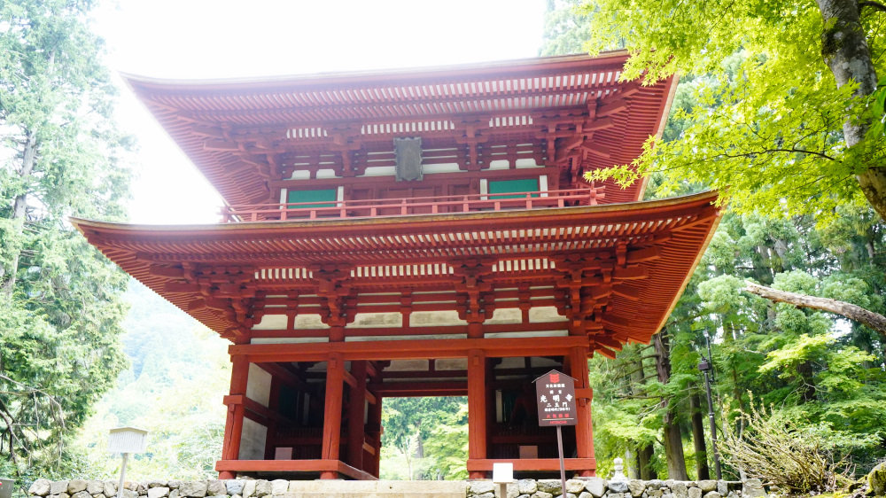 登りは舗装、下りはダートの贅沢里山グラベルロード 綾部市君尾山林道