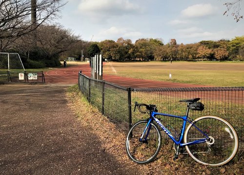 光が丘公園 石神井公園 大泉中央公園 都立公園めぐり