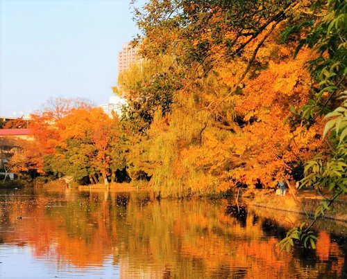 光が丘公園 石神井公園 大泉中央公園 都立公園めぐり