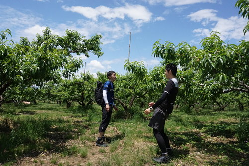 笛吹川サイクリングロード