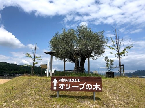 江田島サイクリング