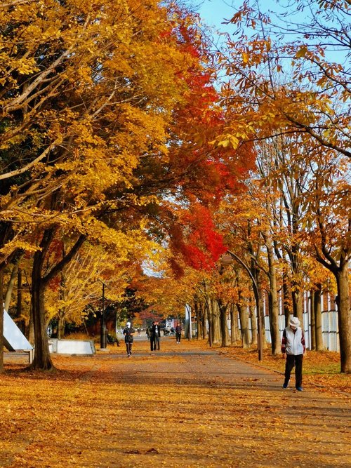 光が丘公園 石神井公園 大泉中央公園 都立公園めぐり