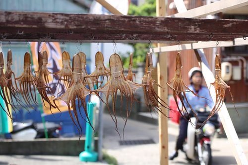 知多半島から日間賀島を巡るサイクリング