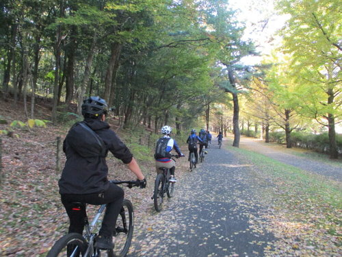 佐渡島一周サイクリング