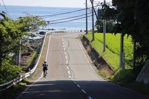 佐渡島一周サイクリング