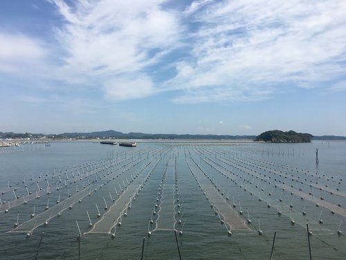 日本三景 松島