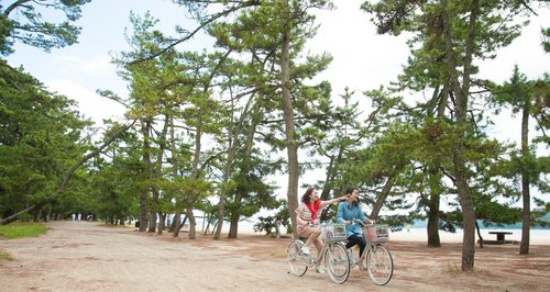 天橋立絶景＆歴史サイクリング