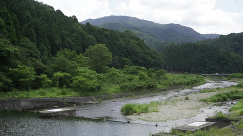 君尾山林道