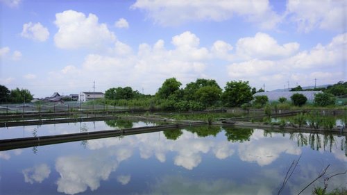 大和郡山の城下町巡りサイクリング