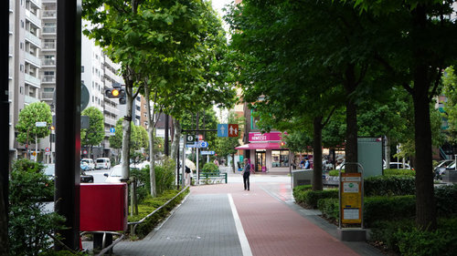 水の都 東京サイクリング