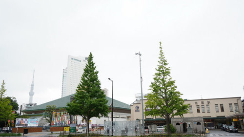 水の都 東京サイクリング