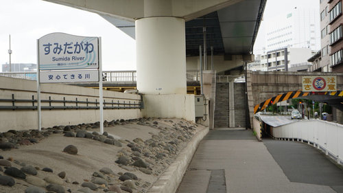 水の都 東京サイクリング