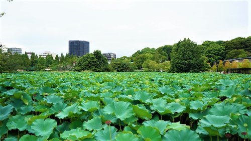 水の都 東京サイクリング