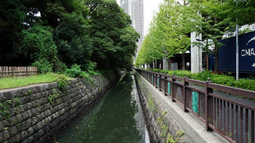 緑の都 東京サイクリング