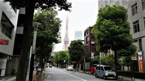 緑の都 東京サイクリング