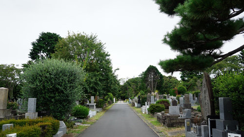 緑の都 東京サイクリング