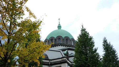 坂の都 東京サイクリング