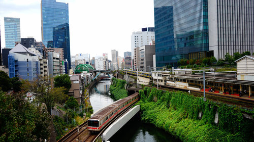 坂の都 東京サイクリング