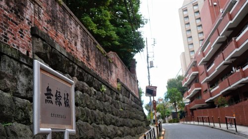 坂の都 東京サイクリング