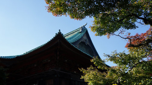 坂の都 東京サイクリング