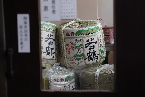 富山湾岸サイクリング