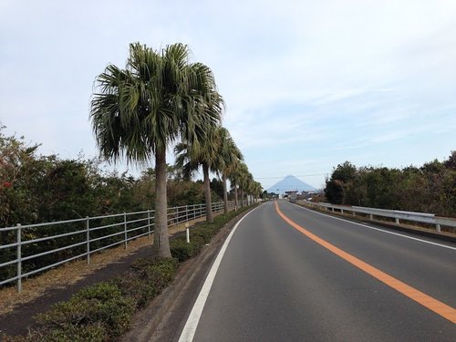 指宿～開聞岳サイクリング