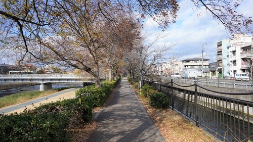 シェアサイクルで巡る京都