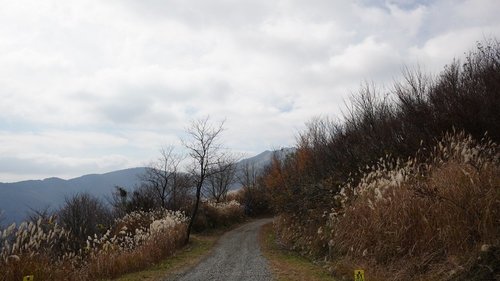 瀞川林道 但馬アルペンロード