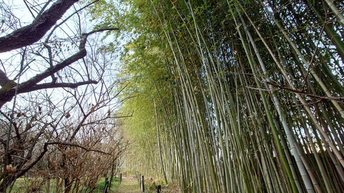 千代の古道