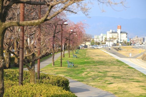 やまなしフルーツライン